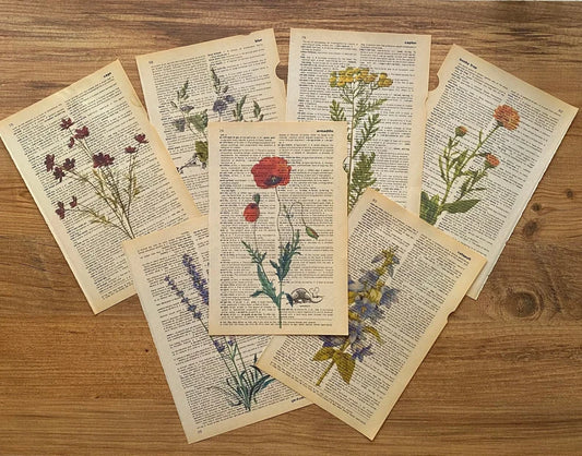 Set of 7 Wildflower Dictionary Print, Floral Collection Print, Antique Botanical Prints, Botanical Wall Print, Cool Posters, Antique Art